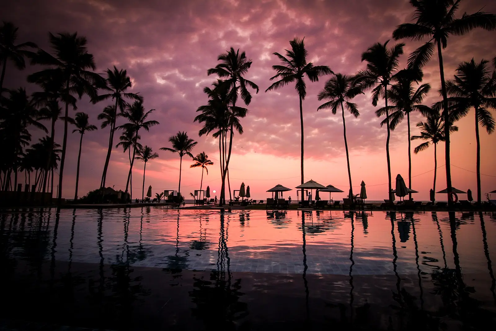 Palm trees silhouetted against a sunset over a Sri Lankan beach